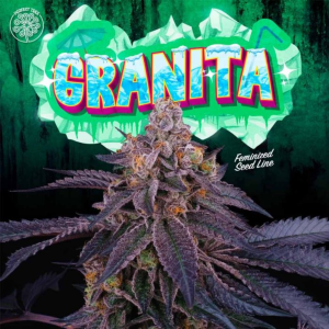 Perfect Tree Seeds | Granita