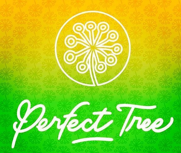 Perfect Tree Seeds