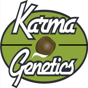 Karma Genetics