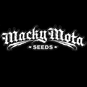 Macky Mota Seeds