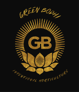 Green Bodhi