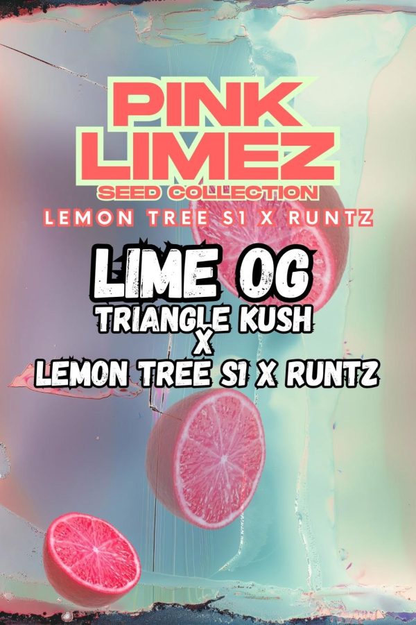 Grounded Genetics | LIME OG