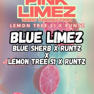 Grounded Genetics | BLUE LIMEZ
