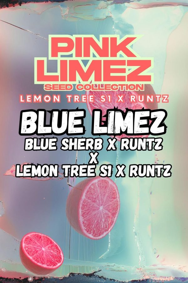 Grounded Genetics | BLUE LIMEZ