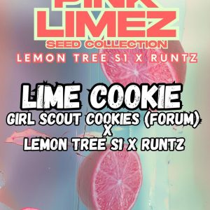 Grounded Genetics | LIME COOKIE