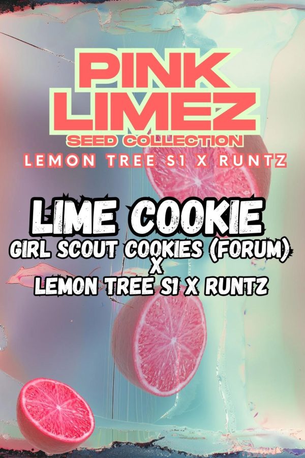 Grounded Genetics | LIME COOKIE