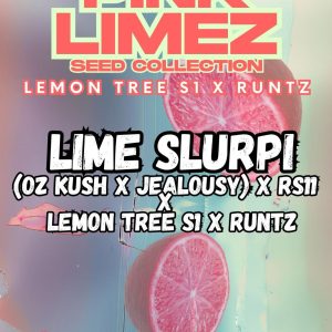 Grounded Genetics | LIME SLURPI