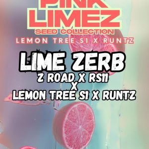 Grounded Genetics | LIME ZERB
