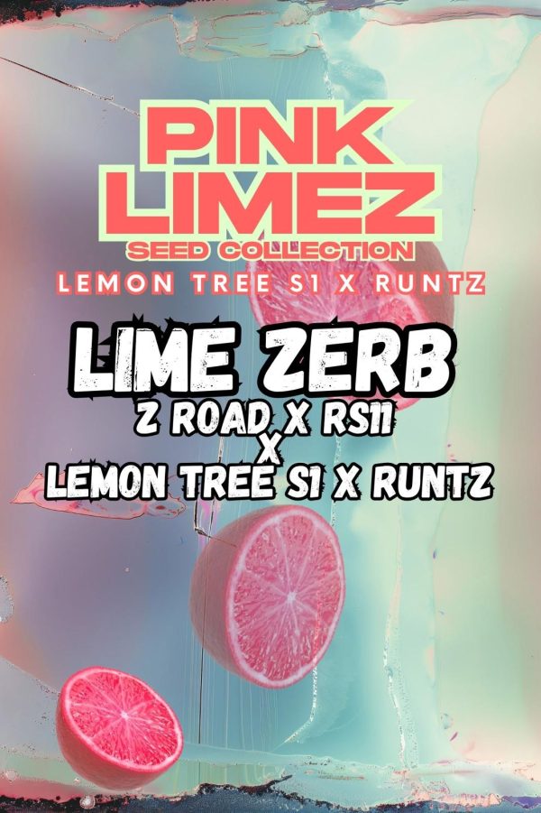 Grounded Genetics | LIME ZERB