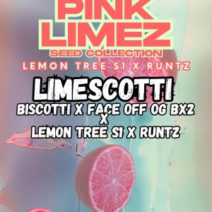Grounded Genetics | LIMESCOTTI