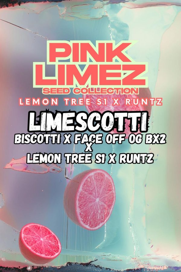 Grounded Genetics | LIMESCOTTI