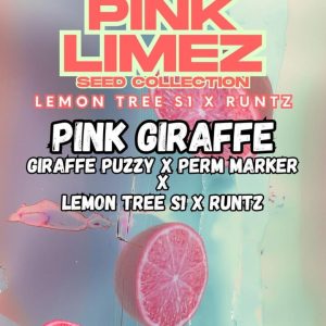 Grounded Genetics | PINK GIRAFFE