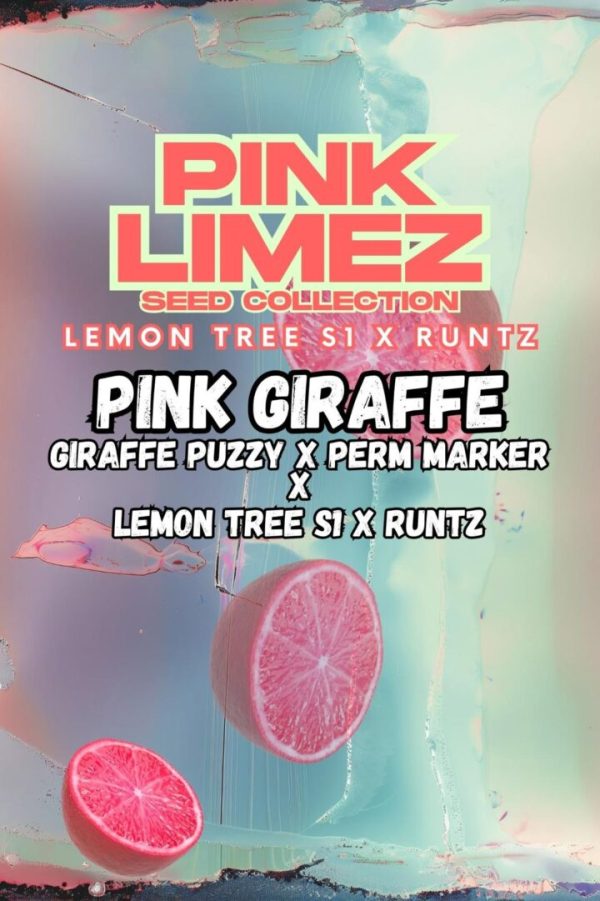 Grounded Genetics | PINK GIRAFFE