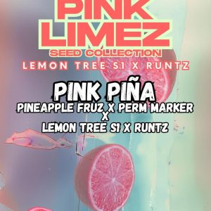 Grounded Genetics | PINK PIÑA