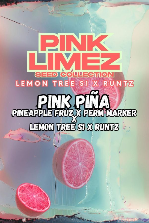 Grounded Genetics | PINK PIÑA