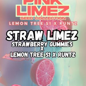 Grounded Genetics | STRAW LIMEZ