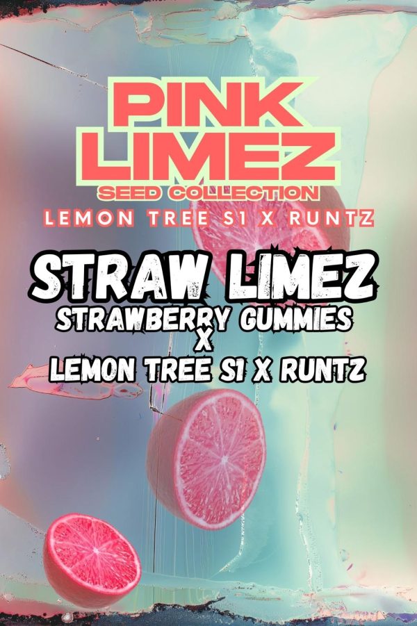 Grounded Genetics | STRAW LIMEZ