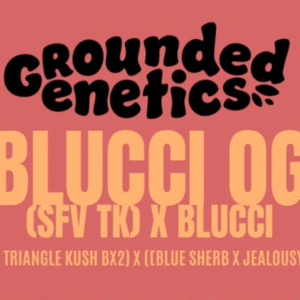 Grounded Genetics | BLUCCI OG