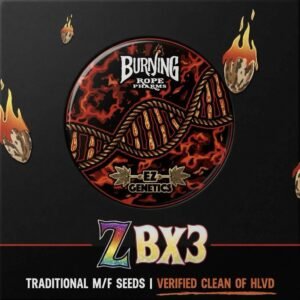 Burning Rope EZ Genetics | Larry Z | Regs