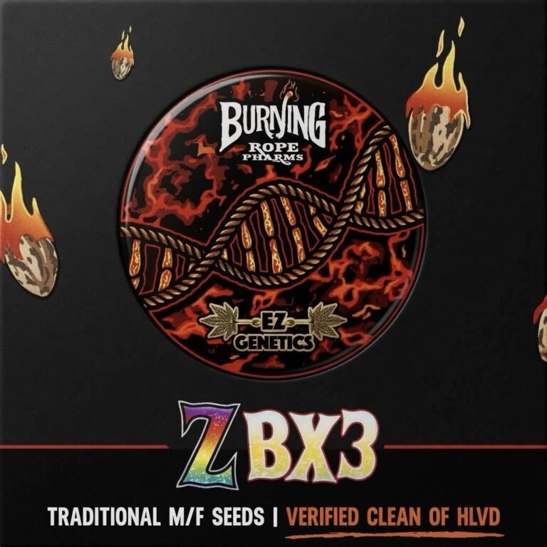 BURNING ZBX3