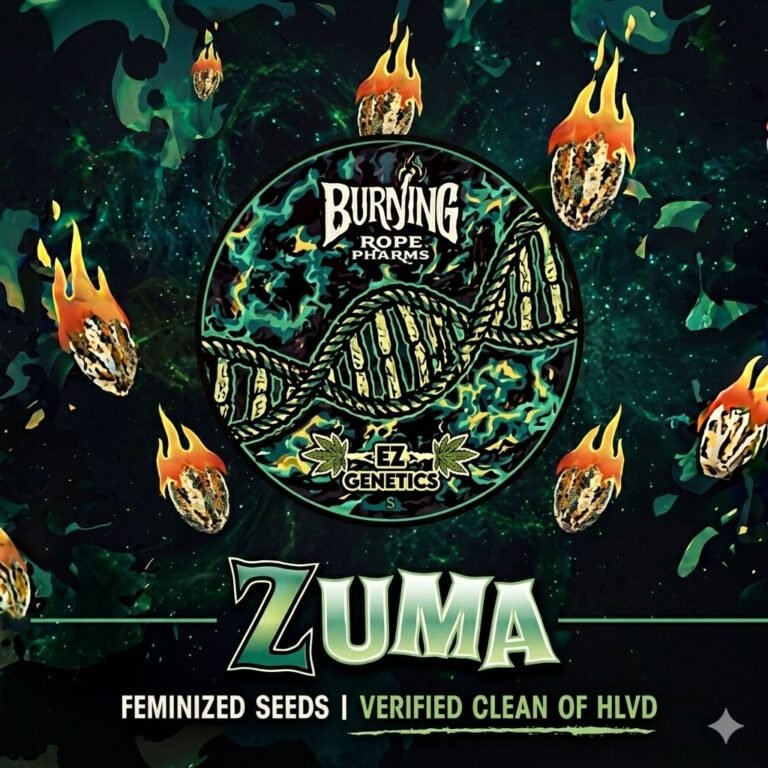 burning zuma line