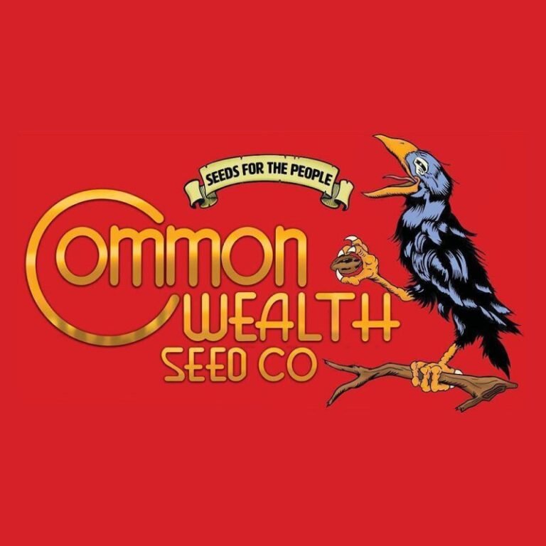 commonwealth-seed-co-grape-safari-3-feminisierte-samen