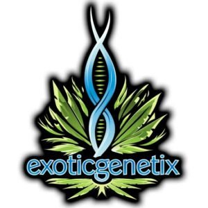 Exotic Genetix | Melt Monster | Fems