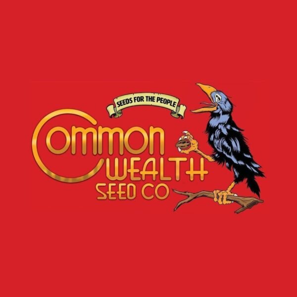 Briar Patch – Commonwealth Seed Co feminized seeds pack