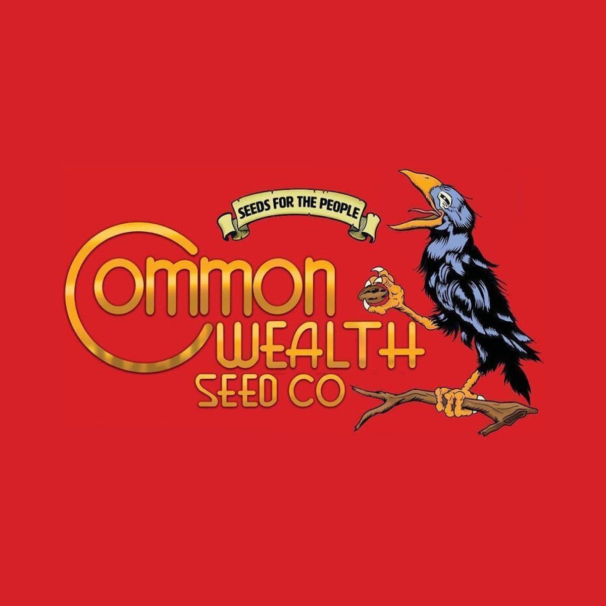 Thornberry Pie – Commonwealth Seed Co feminized seeds pack