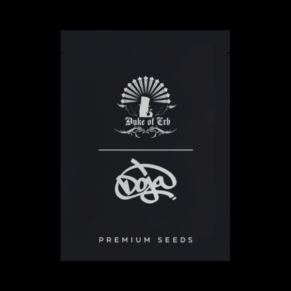 Gelato 41 X Coffin Candy – Duke of Erb x Doja regular seeds pack