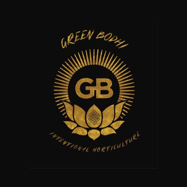 78 Tenzin #44 – Green Bodhi regular seeds pack