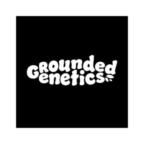 Blu Zang – Grounded Genetics feminized seeds pack