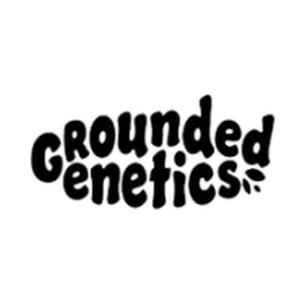 Strawberry Gummys – Grounded Genetics feminized seeds pack