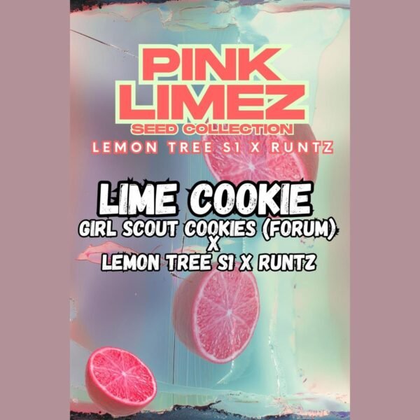 Lime Cookie – Grounded Genetics feminized seeds pack