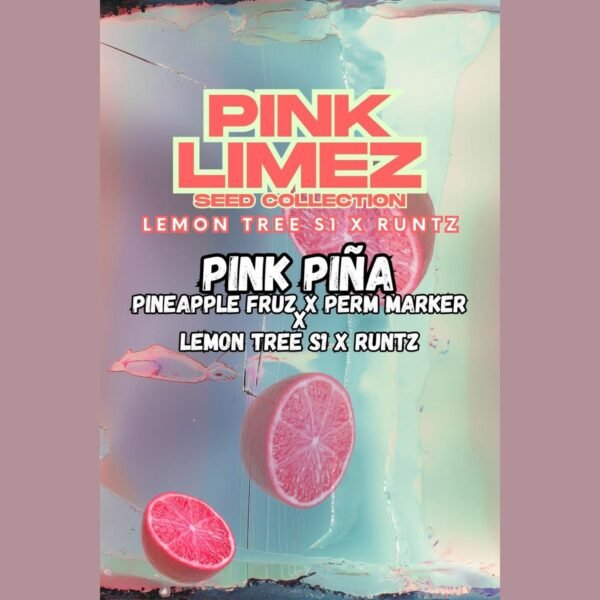 Pink Piña – Grounded Genetics feminized seeds pack