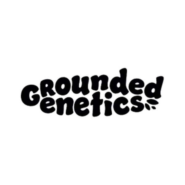 Zilk Road – Grounded Genetics feminized seeds pack