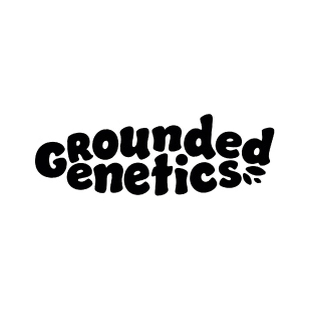 Zilk Road – Grounded Genetics feminized seeds pack