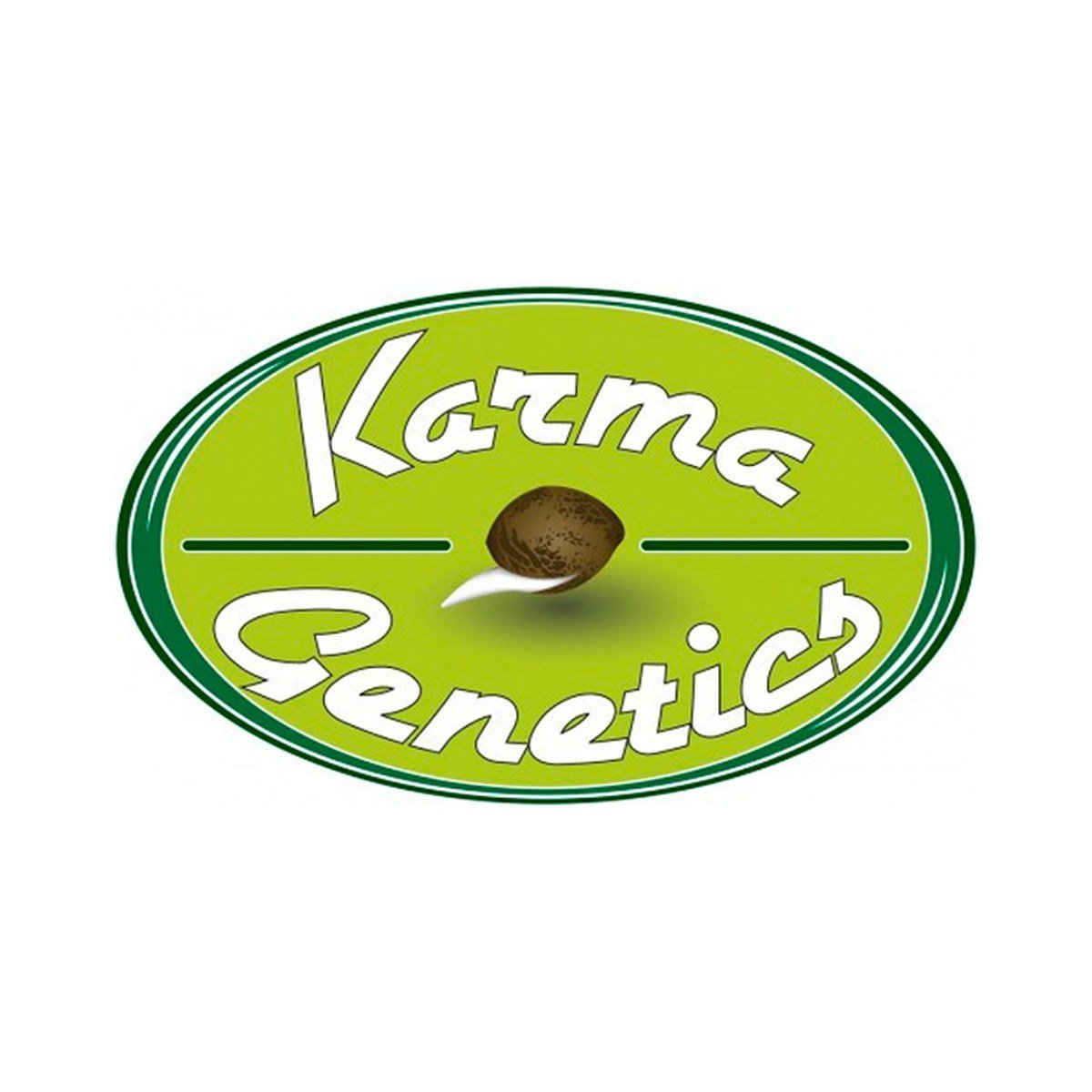 Chem Tini – Karma Genetics regular seeds pack