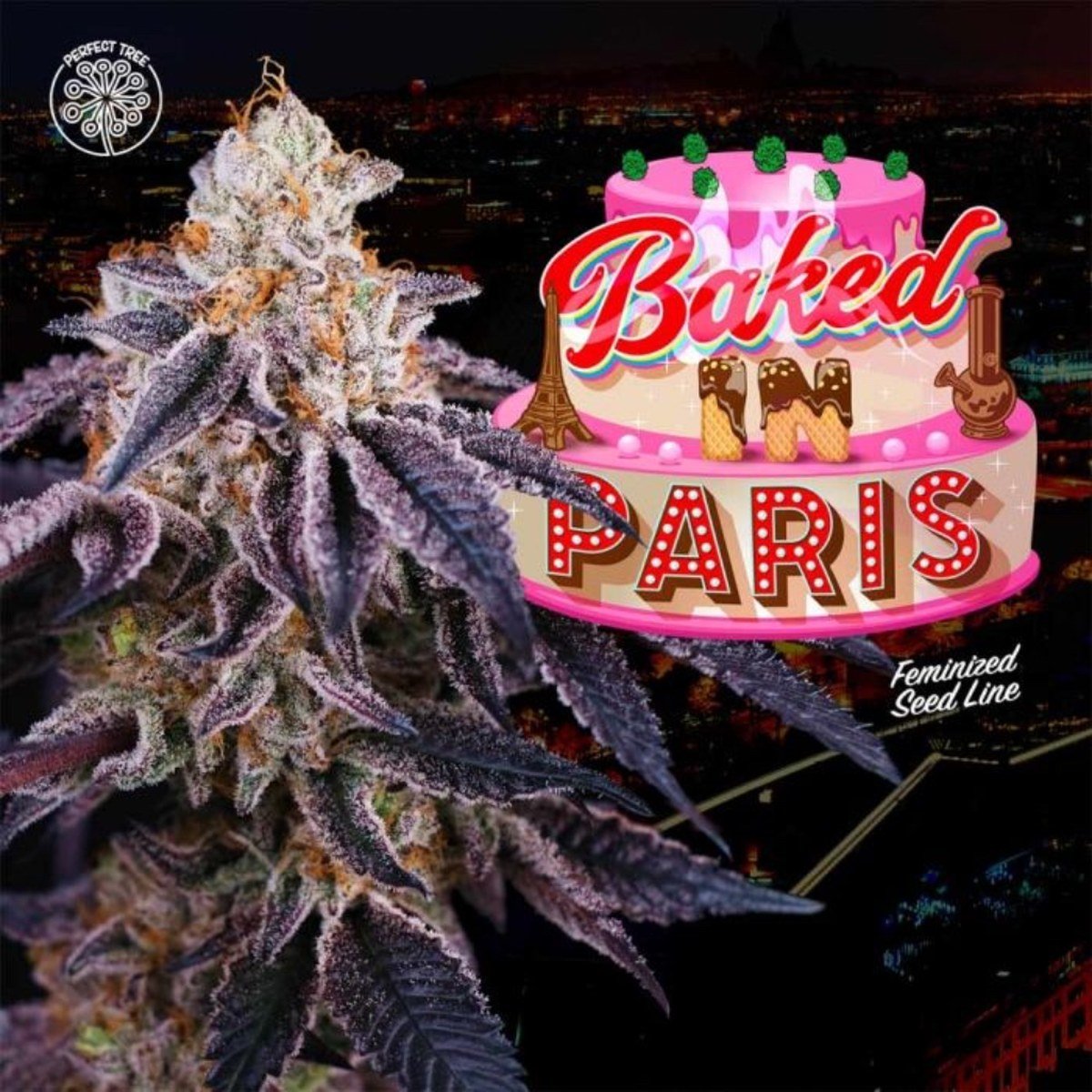 Perfect Tree Seeds | Baked In Paris