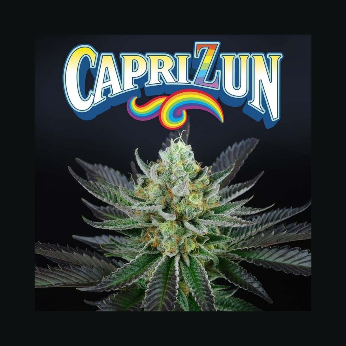 Perfect Tree Seeds | Capri Zun
