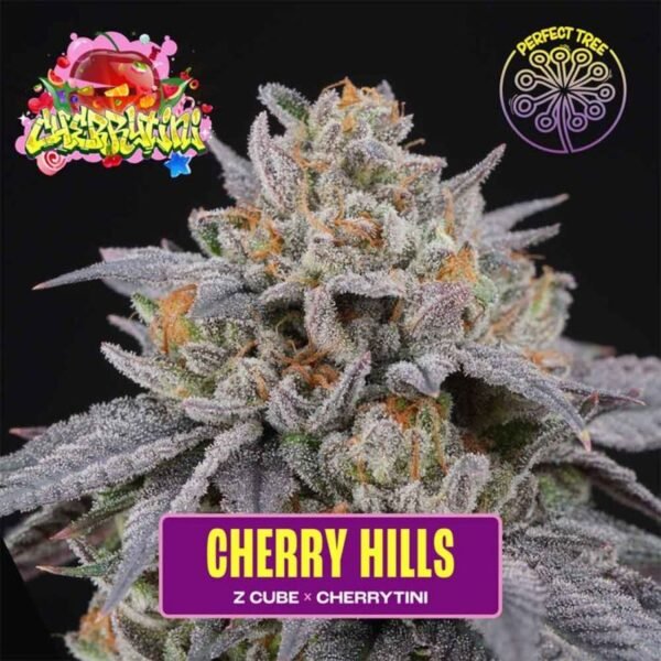 Cherry Hills – Perfect Tree Seeds feminized seeds pack