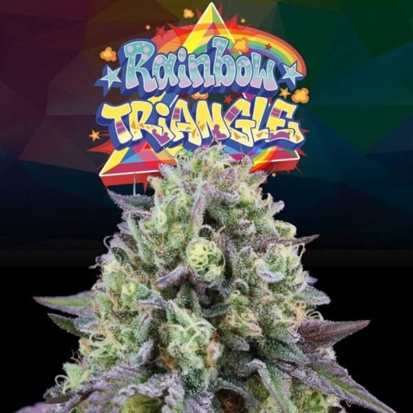 Rainbow Triangle – Perfect Tree Seeds feminized seeds pack