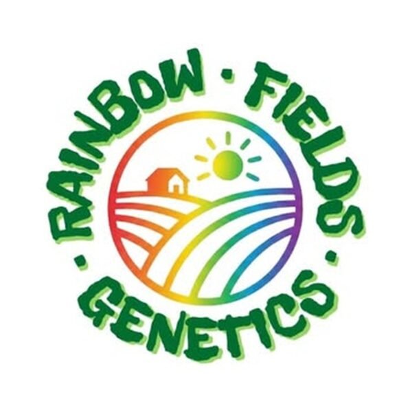 Blurazno – Rainbow Fields Genetics feminized seeds pack