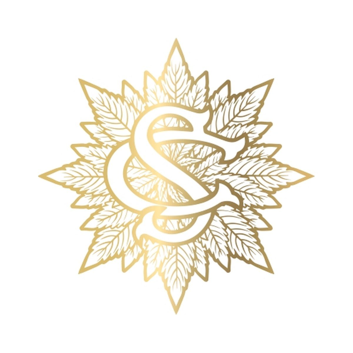 Pomelo Anderson S1 X Zyrup – Serge Cannabis regular seeds pack